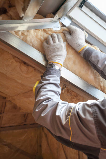 Best Insulation Maintenance and Repair in Lambert, MS